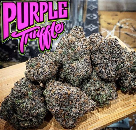 rolex truffle strain|purple truffles strain.